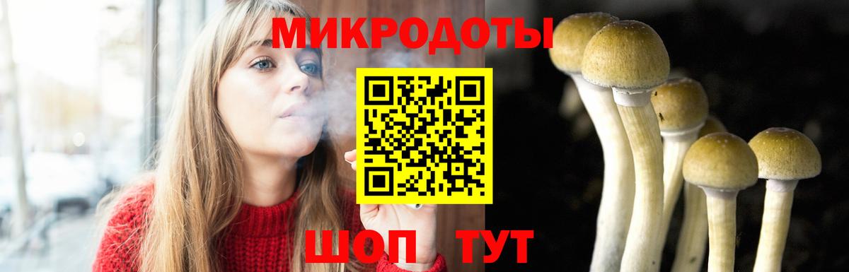 Псилоцибиновые грибы мицелий Алейск