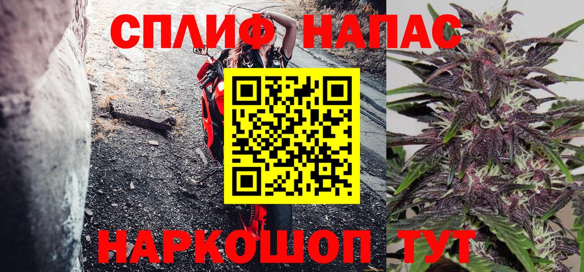 Конопля OG Kush Алейск